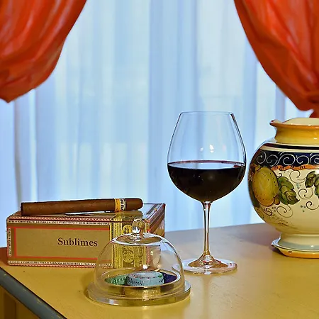 瓦萨瑞酒店